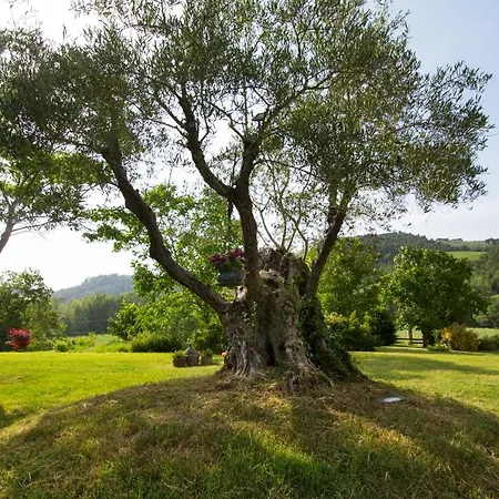 Villa Casale Santa Caterina Jacuzzi And Pool